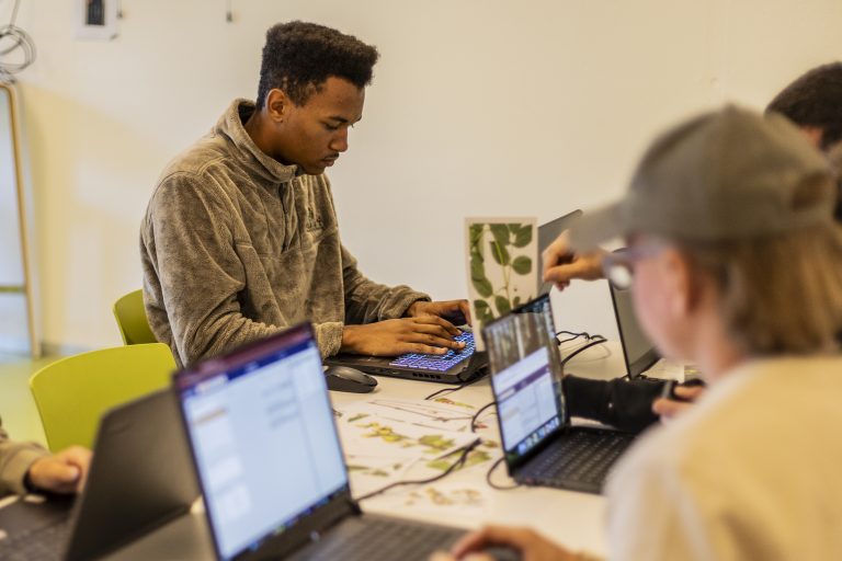 NaturDesign Ausbildung Gärtner