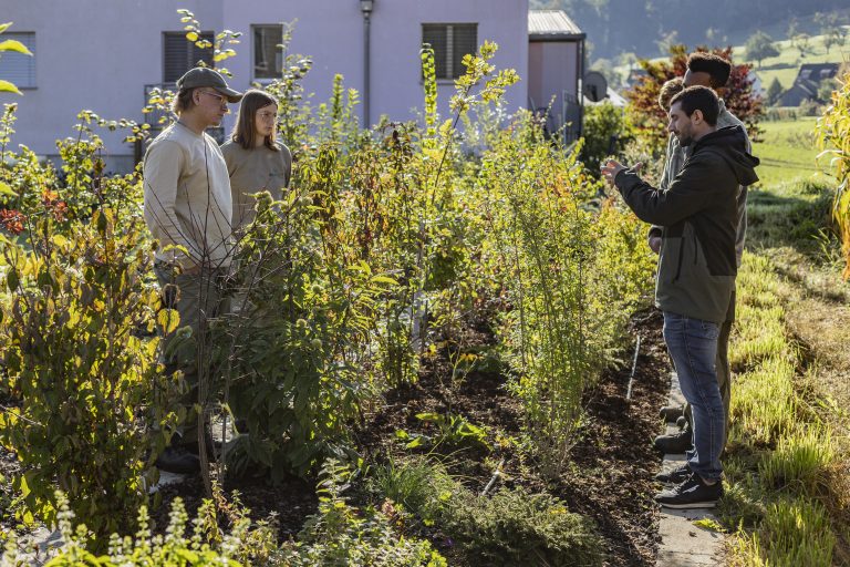 Pflanzenparcours
NaturDesign
