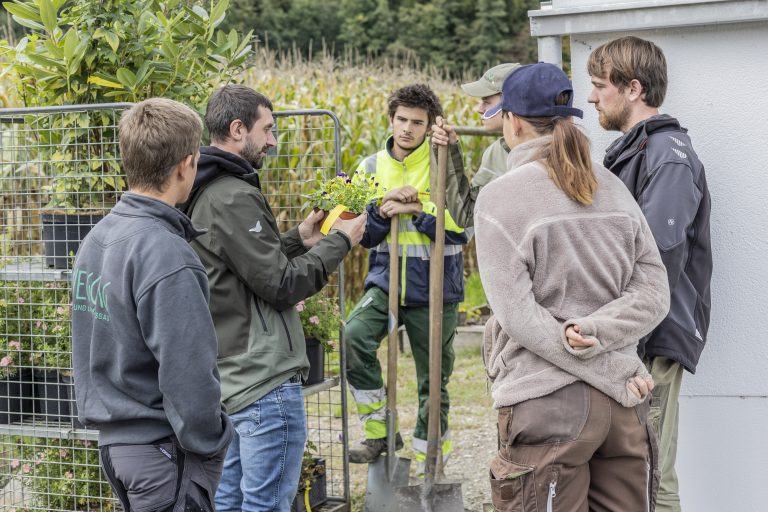 Schritt für Schritt zum Pflanzenprofi